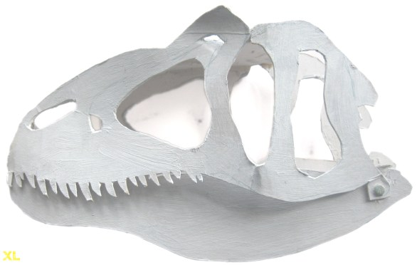 dino skull